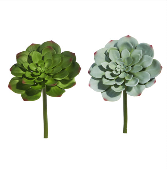 7” Succulent Pick, 2 Assorted Green