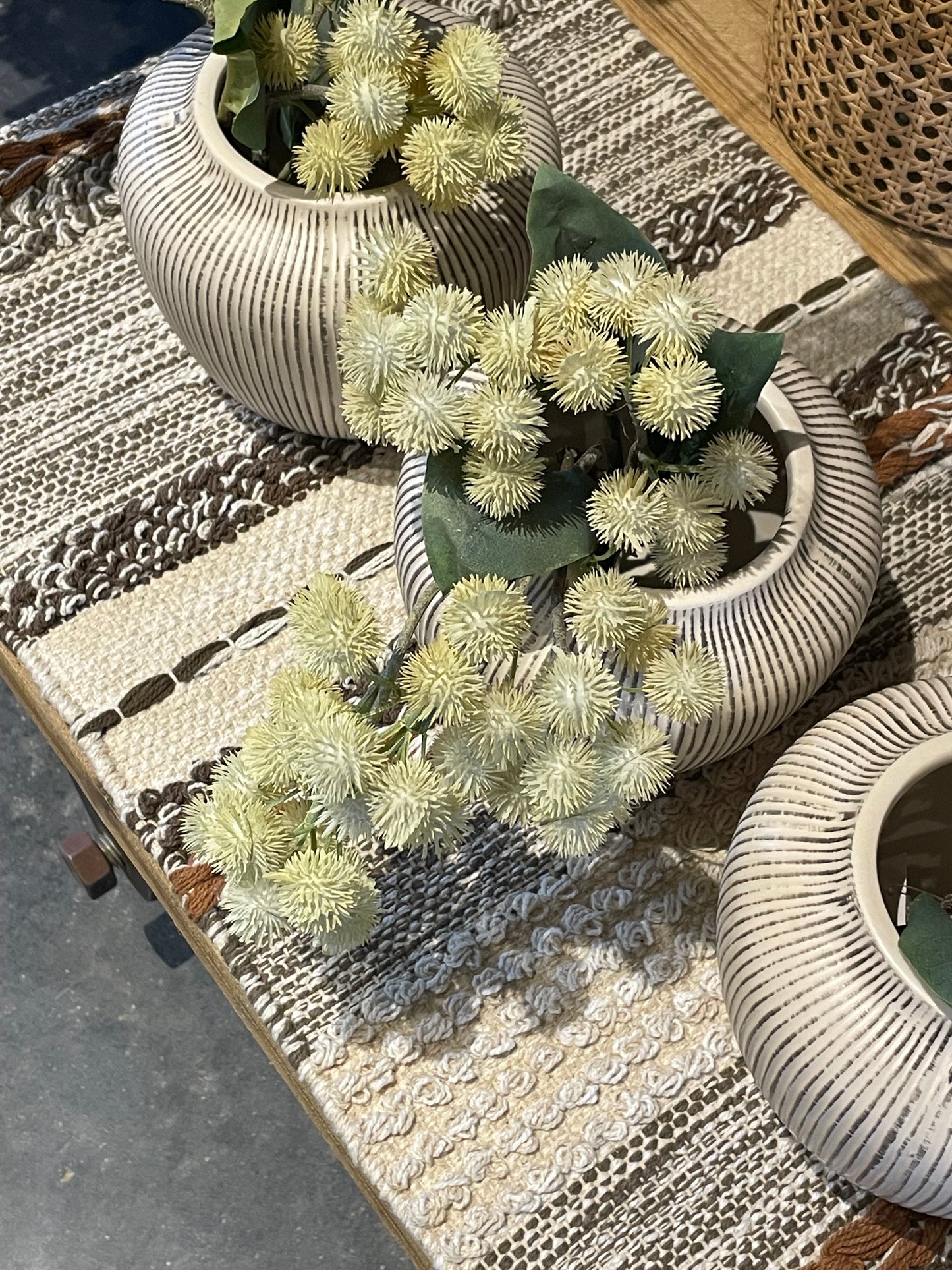 Cream Thistle Stem