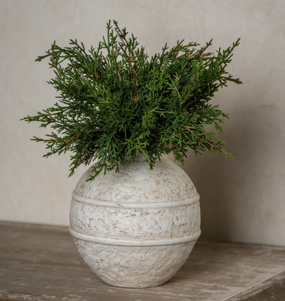 12” Juniper Bush
