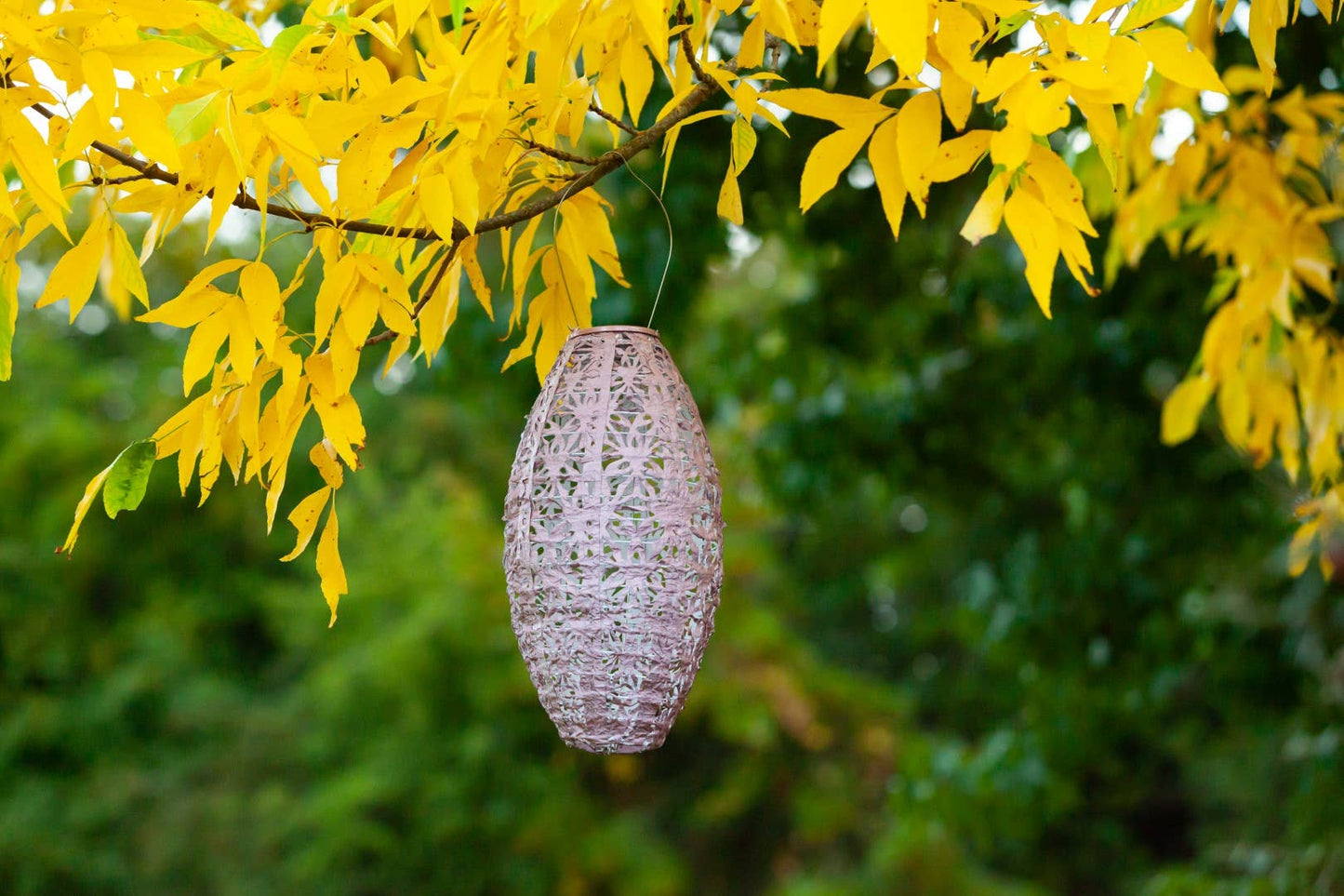 Stella Wildflower Pod 15" Solar Lantern - Blush