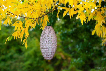Stella Wildflower Pod 15" Solar Lantern - Blush