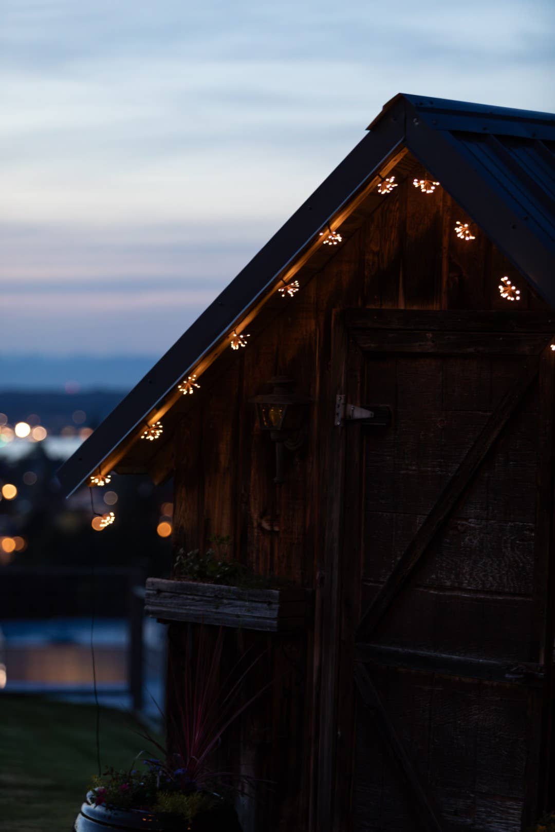 *NEW* Starry Night Solar String Lights - Black