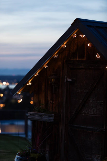 *NEW* Starry Night Solar String Lights - Black