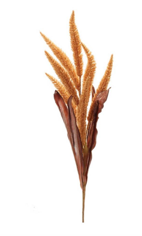 Harvest Foxtail Stem-2 Assorted