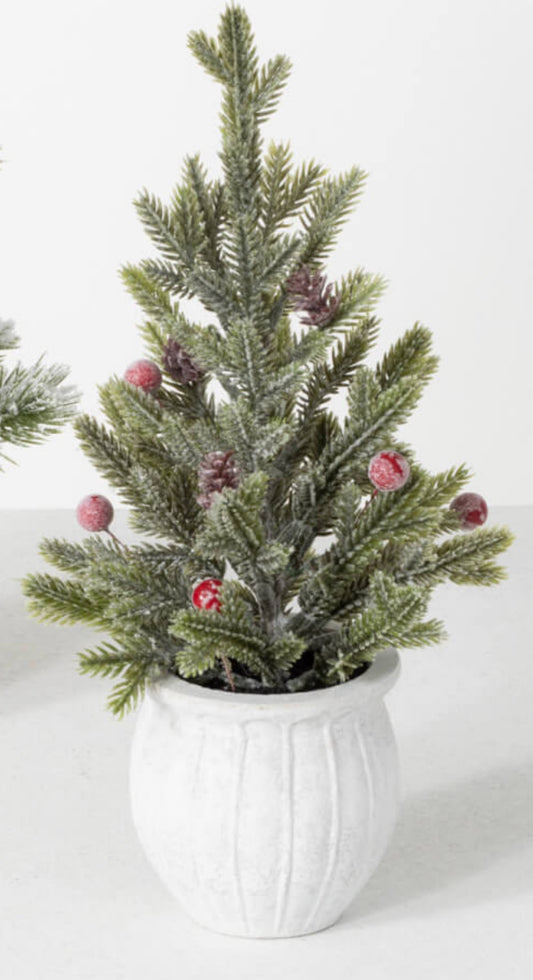 Potted Pine Tree w/Berries