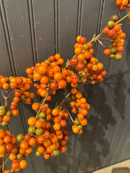 Berry Stem- 2 Assorted