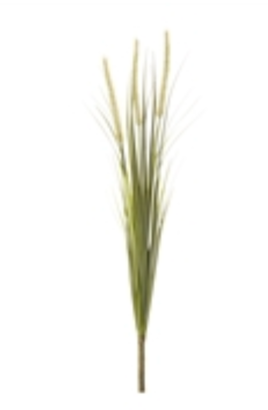 28” Foxtail Bush