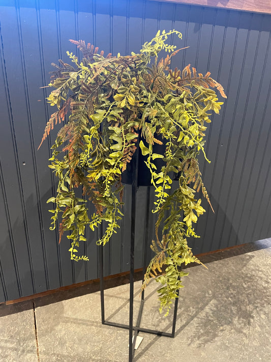 34” Bracken Fern Hanging Bush