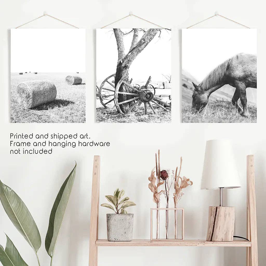8” x 10” Black White Farm House Wall Décor. Horse Print. Hay Bales-Sold seperately-No Frame
