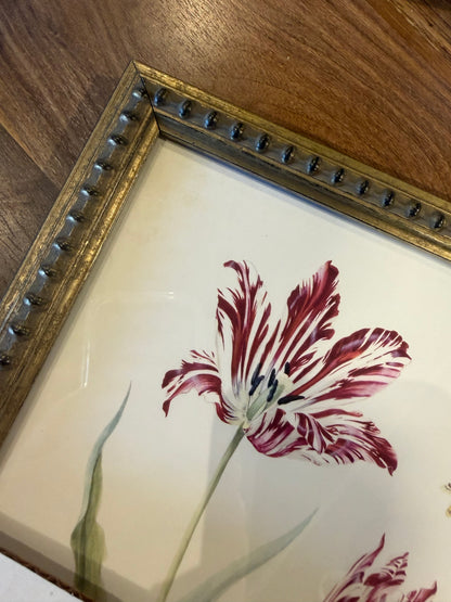 10” x 8” Vintage tulip J bookplate on a distressed background
