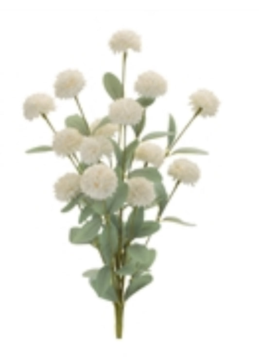 White Mini Mum Bush