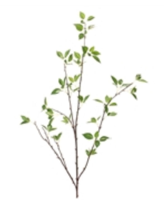 Mountain Leaf Branch