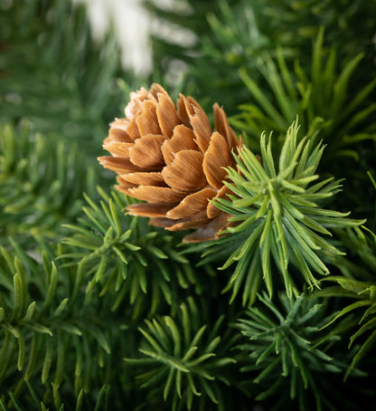 Angel Pine Orb