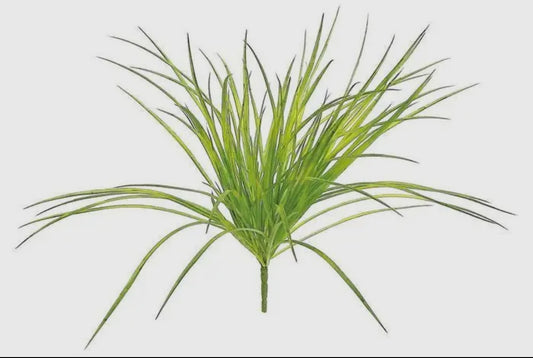 Zebra Grass Bush