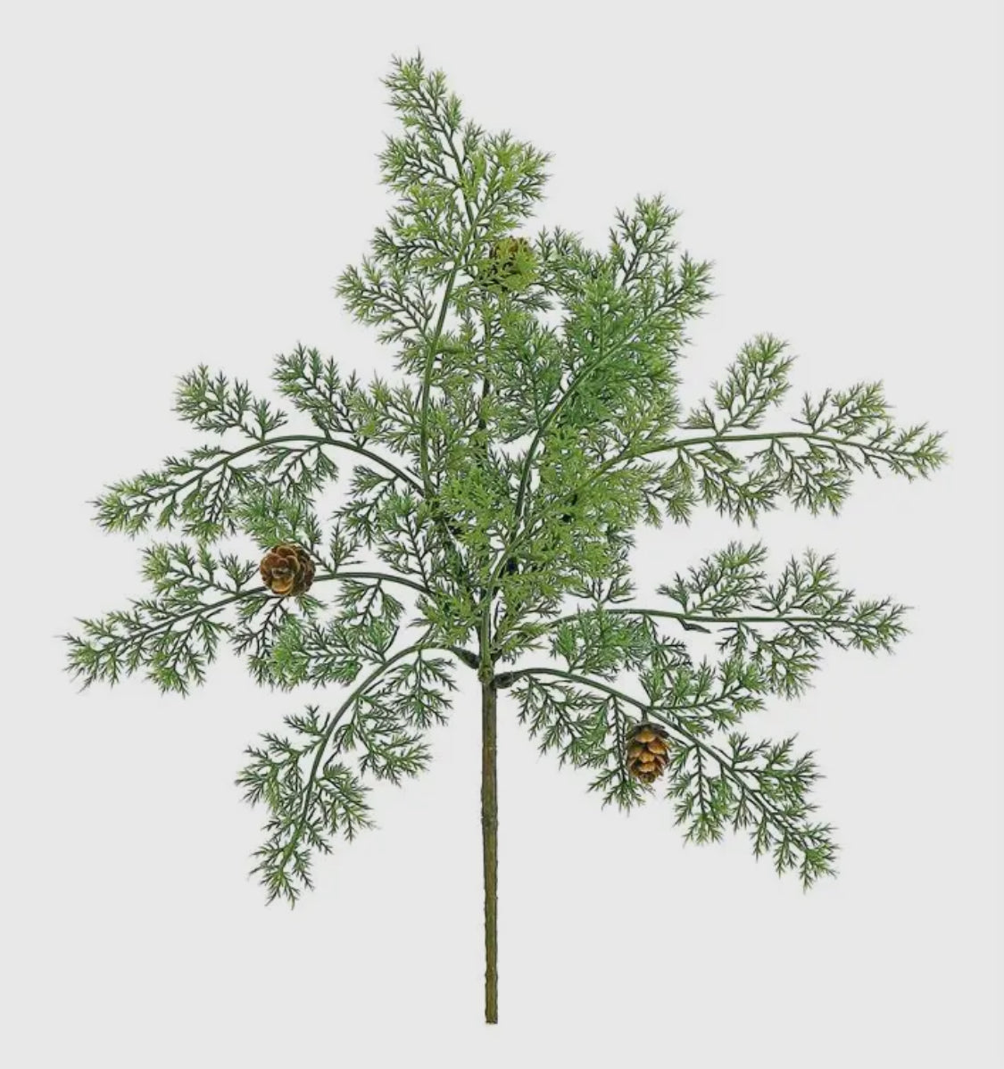 Cedar & Mini Cone Pick