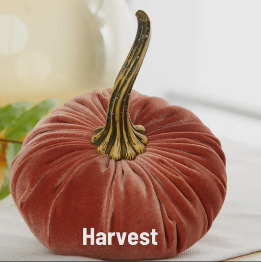 Large Harvest Velvet Pumpkin