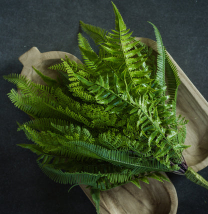 20” Mixed Fern Bush