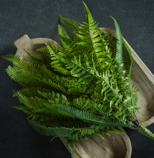 20” Mixed Fern Bush