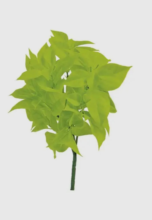 Gardenia Leaf Bush