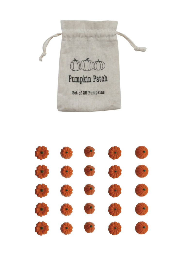 Resin Orange Pumpkins in a Printed Drawstring Bag