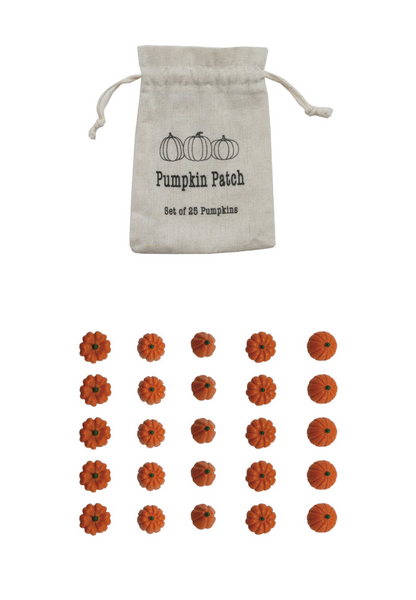 Resin Orange Pumpkins in a Printed Drawstring Bag