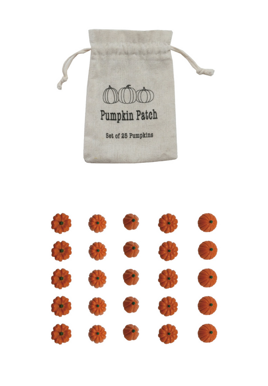 Resin Orange Pumpkins in a Printed Drawstring Bag