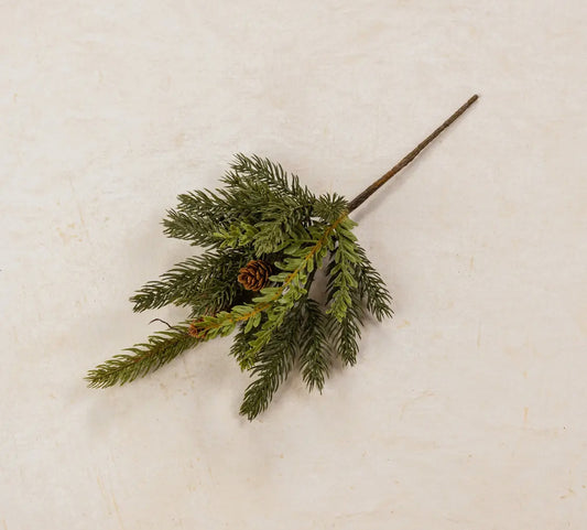 13” White Spruce & Tsuga Hemlock Pick
