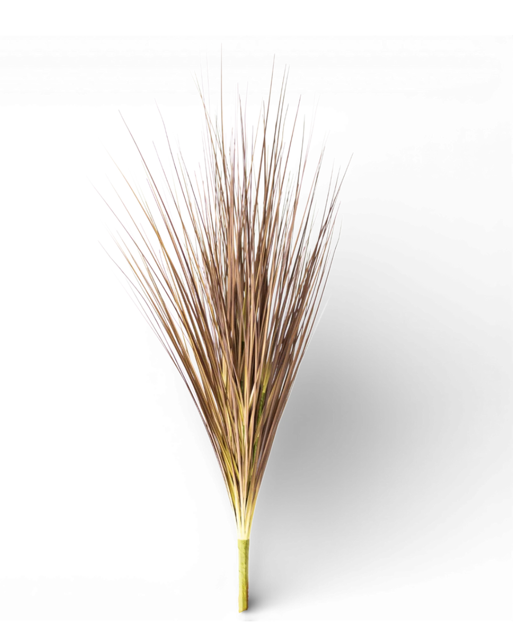 36” Onion Grass Spray