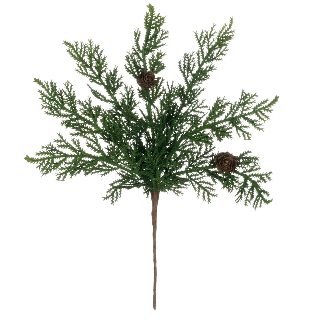 Cypress & Pine Cone Pick