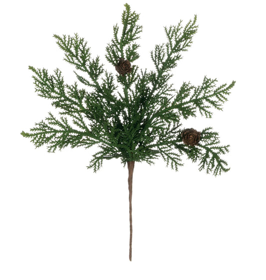 Cypress & Pine Cone Pick