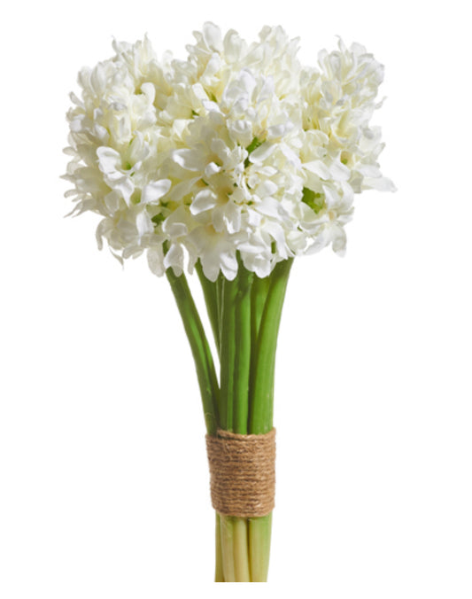 Water Hyacinth Bundle