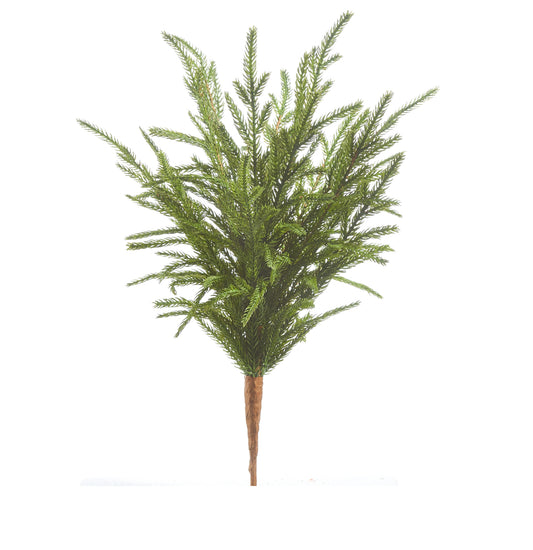 18” Soft Touch Norfolk Pine Pick
