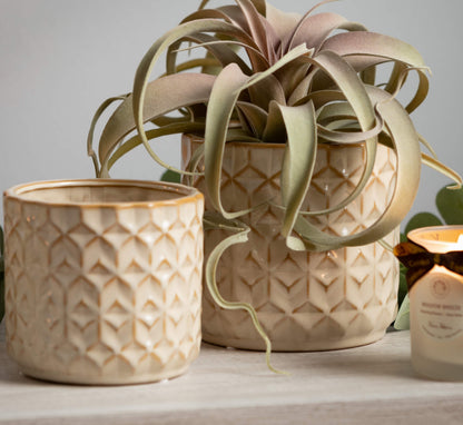 Golden Geometric Planter-Sm