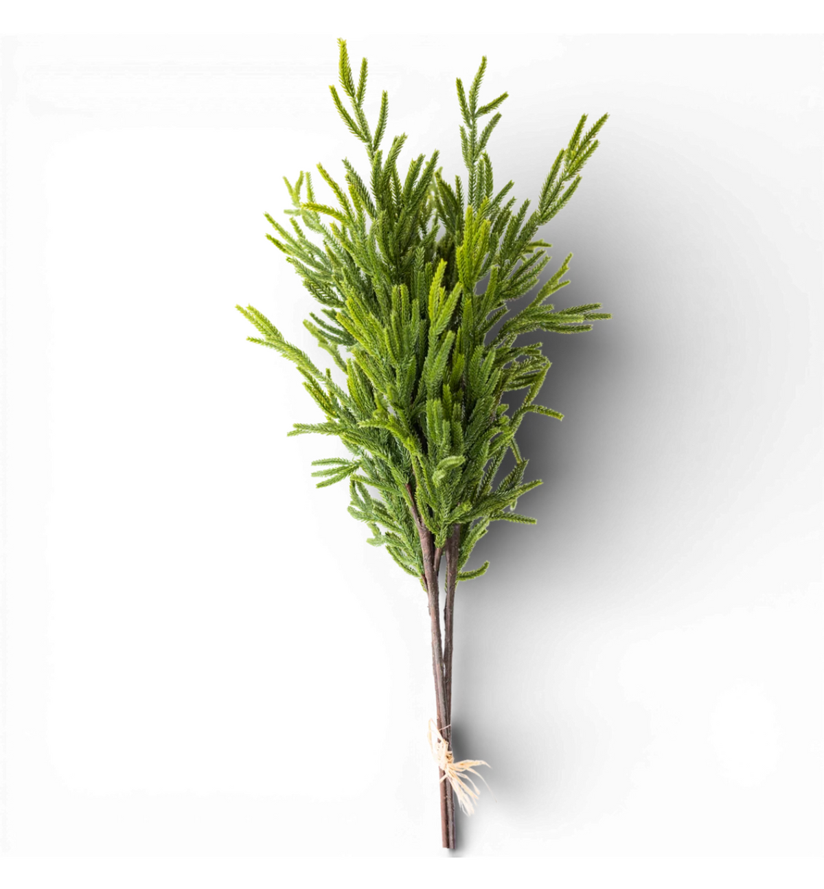 44” Real Touch Araucaria Spray Bundle