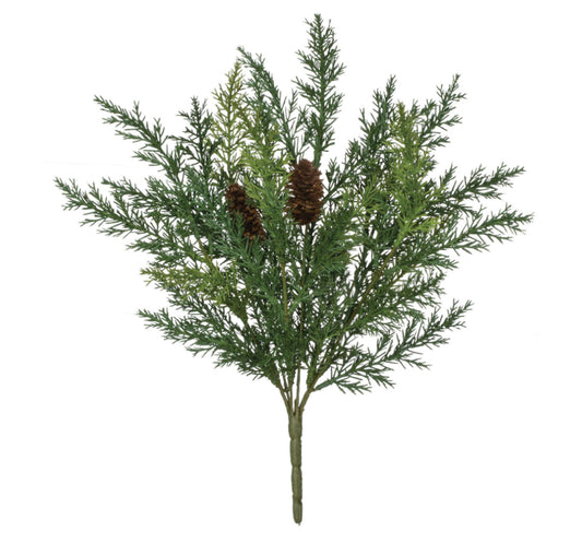 Arborvitae Bush