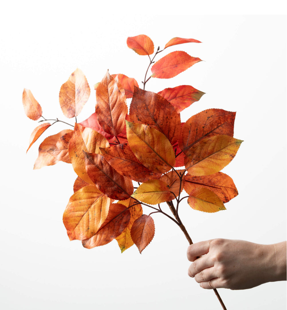 Salal Leaf Spray