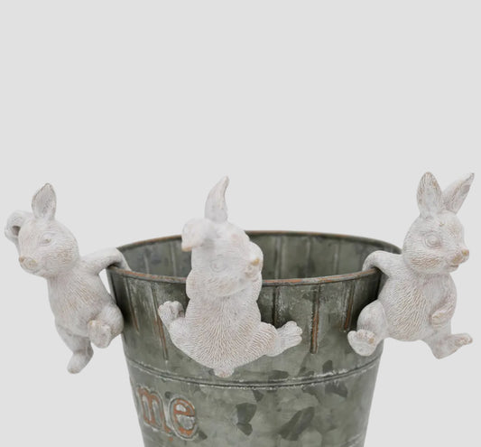 Bunny Plant Hangers