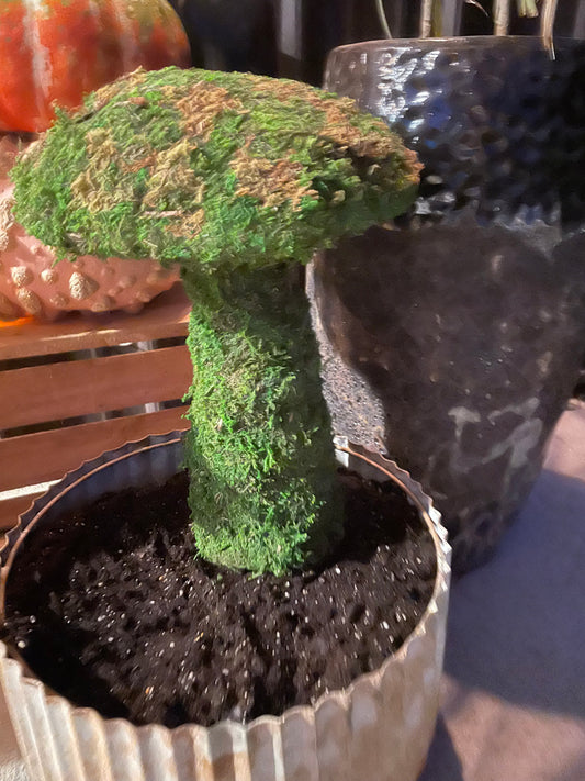 14”Deco Moss Mushroom