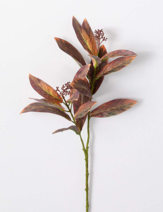Brown Leaf Stem