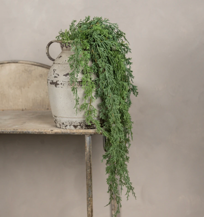 30” Soft Touch Weeping Cedar Hanging Bush