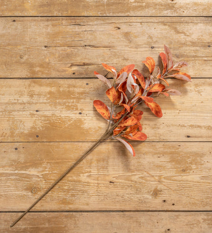 31” Rust Laurel Spray