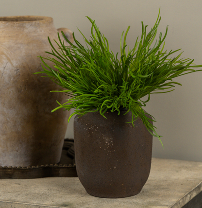 13” Grass Bush