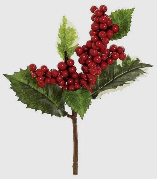 Holly Berry Pick