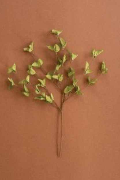 Sage Spray