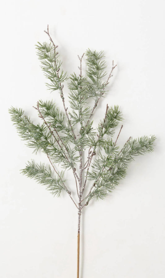 Softly Frosted Pine Spray