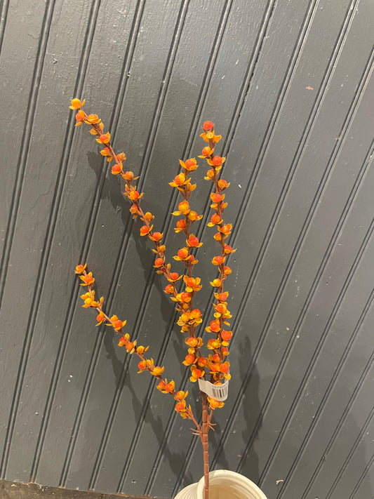 26” Bittersweet Spray
