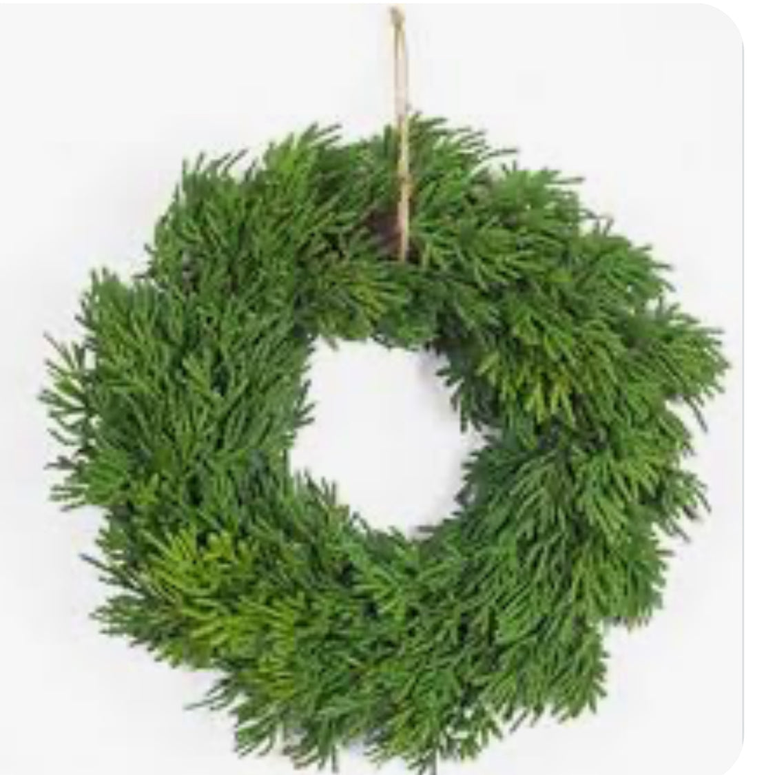 11.5”D Pine Wreath