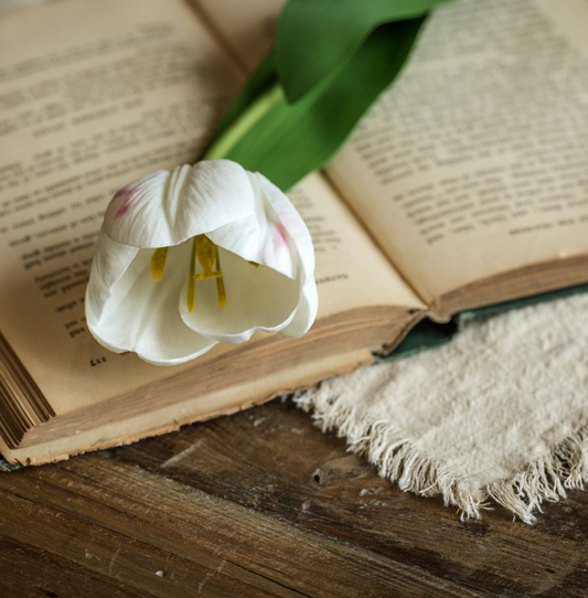 21.5” Soft Touch White Tulip Stem