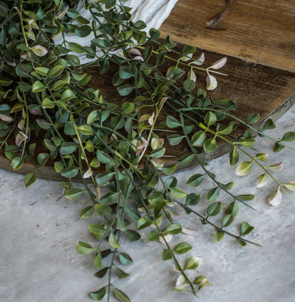 34” Pea Leaf Hanging Bush
