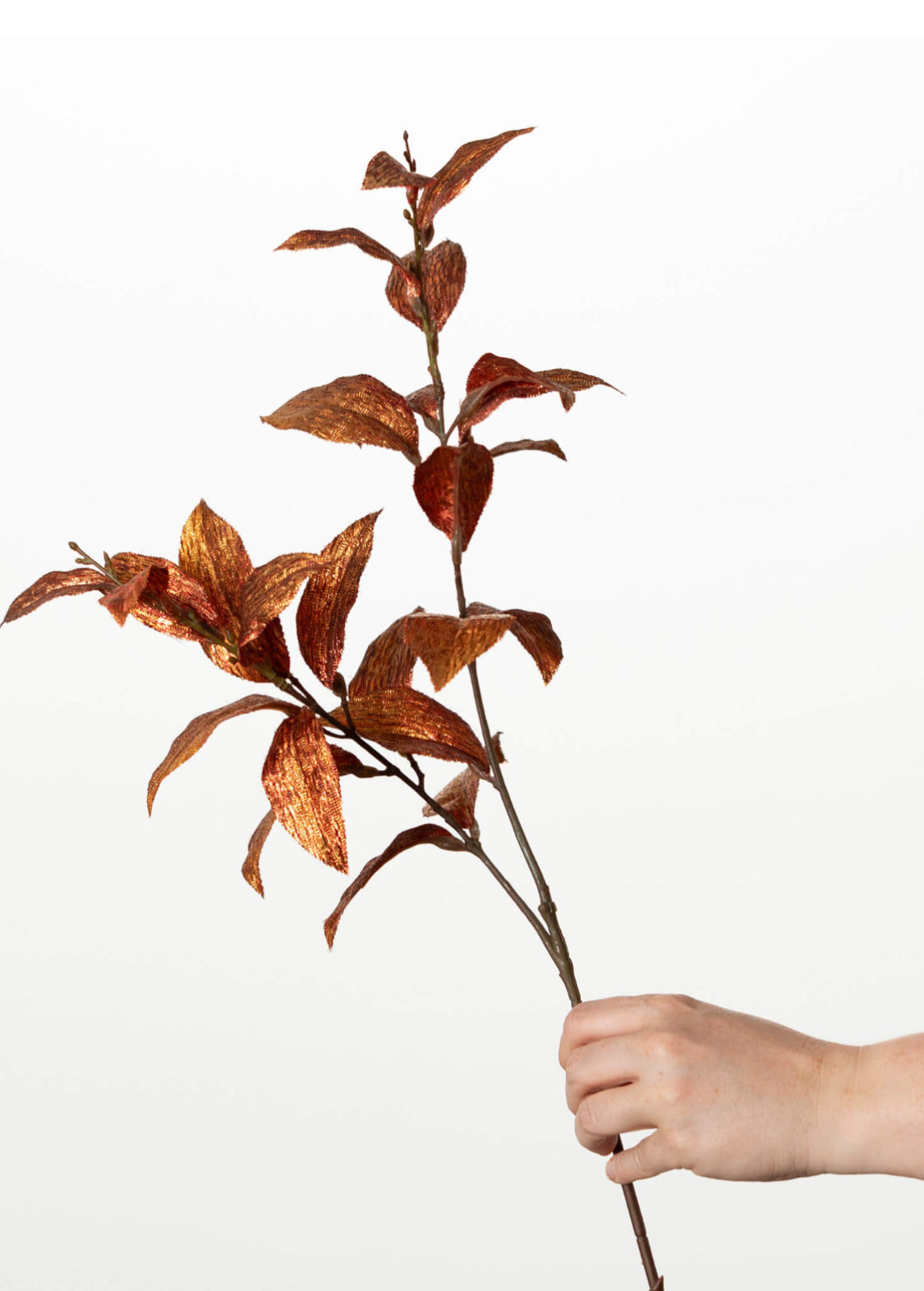 Rust Leaf Spray